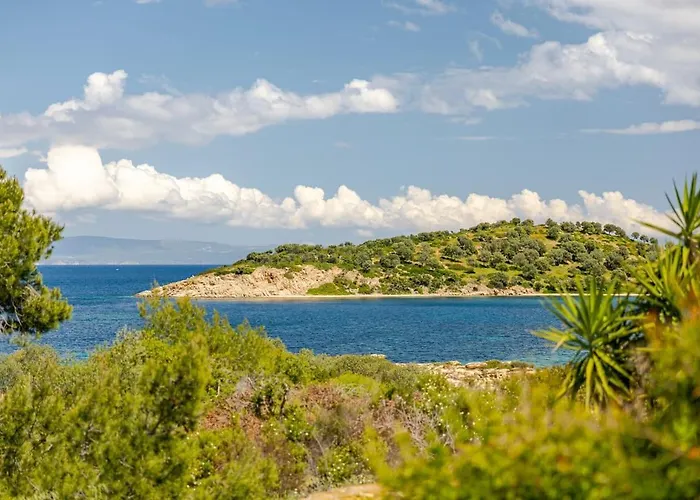 Steps From The 度假居 奥马斯帕纳吉亚斯